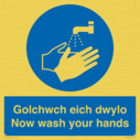 bilingual-sign--welsh--english-with-hand-wash-symbol~